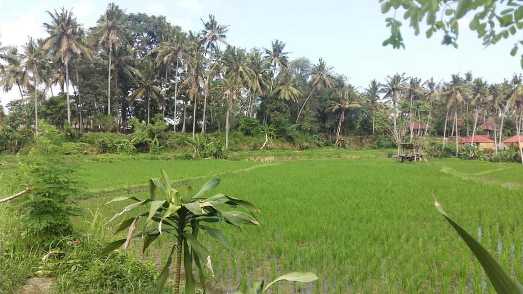 Pondok Tulasi Semaya House Gianyar  Exterior photo