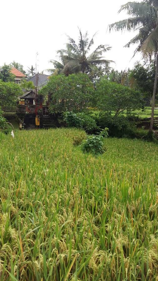 Pondok Tulasi Semaya House Gianyar  Exterior photo
